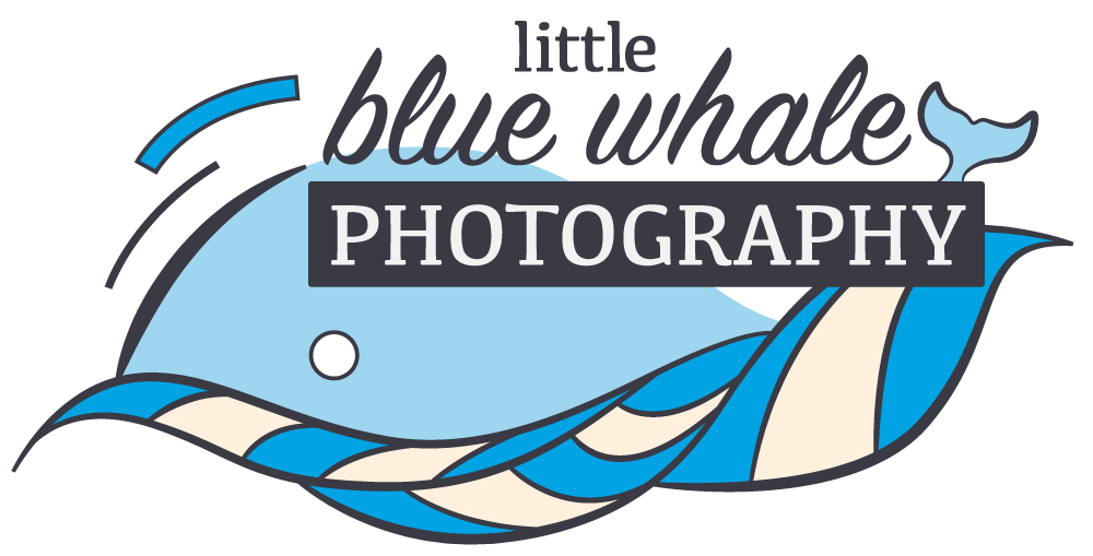 Logo for Little Blue Whale Photography